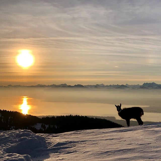 DESTHIEUX Simon, Profiter de la vie tout simplement ☀️ 🌄 🤩