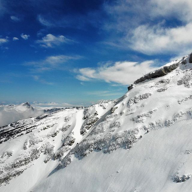 FOURCADE Martin, Ou est Charlie?
Where is Waldo?
📍
.
.
.
@adidasterrex