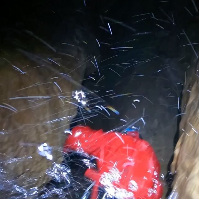 FOURCADE Martin, J’ai eu la chance de découvrir les entrailles de la terre, 8heures à nous faufiler sous nos pieds. Une expérience extraordinaire où l’on s’accommode vite de l’obscurité et du silence.
Les craintes j’avais avant de descendre se sont très vites dissipées.
🚇
.
.
.
@adidasterrex