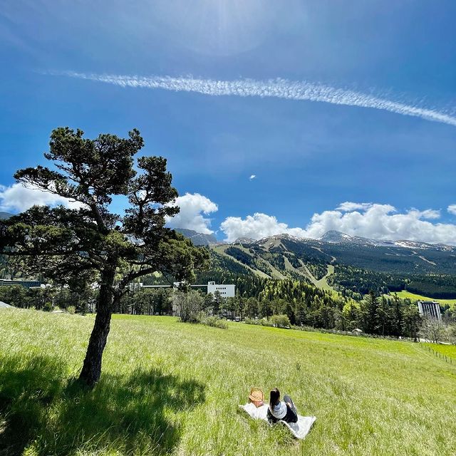 JACQUELIN Emilien, Pic-Nic Time ❤️🧺