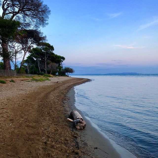 DESTHIEUX Simon, Ces quelques jours de repos m’auront fait du bien avant la dernière grande ligne droite avant l’hiver ! 🏝 ☀️